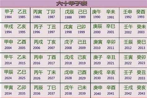 2026五行|2026是什么年什么属性 2026是什么年五行属什么生肖